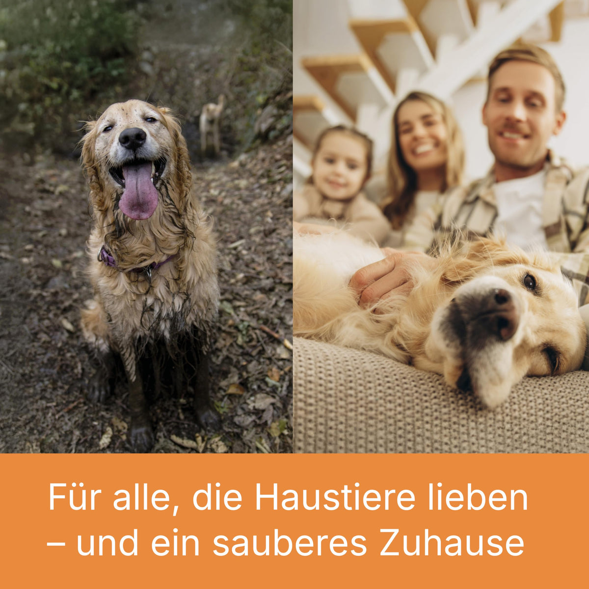 Aqua+ PET & Family Tierhaarsauger beutellos, Nass und Trockensauger, Wischfunktion Teppich, Sofa & Matratze