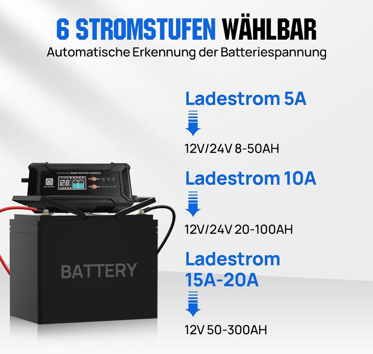 LiFePO4 12V 100Ah Bluetooth mit 12/24V 20A Ladegerät BMS Niedrigtemperaturschutz für Wohnmobil Boot Wohnwagen