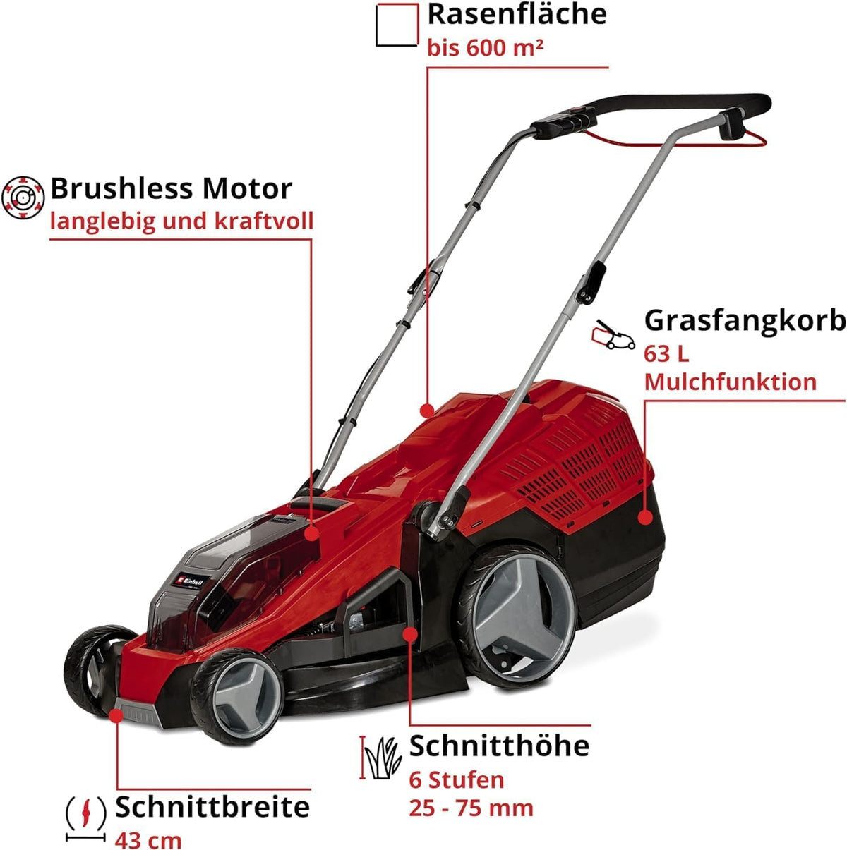 Akku Rasenmäher GEcm 36/43 Li M Solo PowerXChange 36V 43cm 600m² Brushless Mulchfunktion 63L 25 75mm ohne Akku