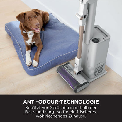 Akkustaubsauger Detect Clean and Empty DirtDetect selbstleerende 2L Basisstation 60 Min Anti Hair Wrap IW3612EU
