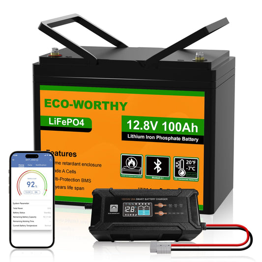 LiFePO4 12V 100Ah Bluetooth mit 12/24V 20A Ladegerät BMS Niedrigtemperaturschutz für Wohnmobil Boot Wohnwagen