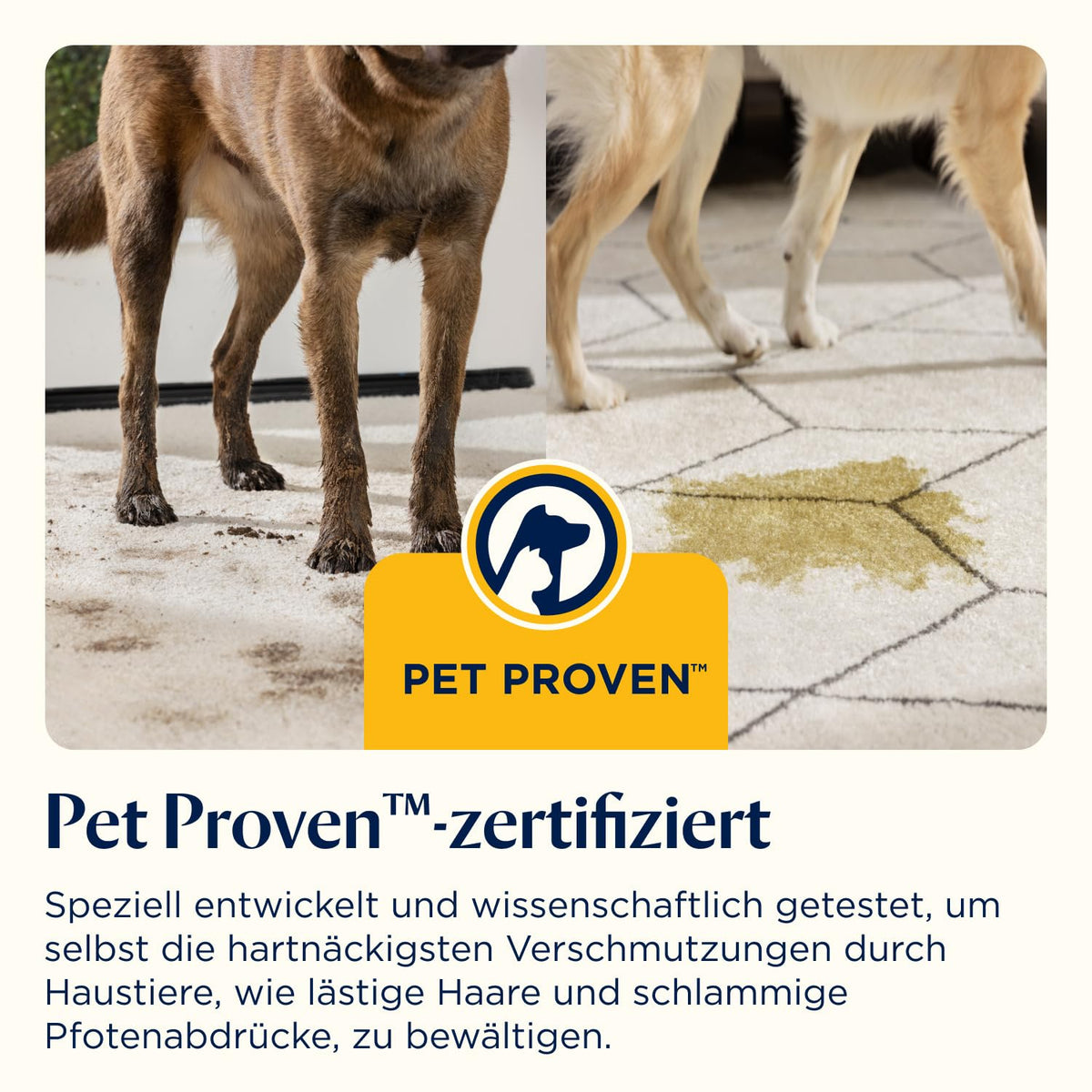 SpotClean HydroSteam Teppichreiniger und Dampfreiniger 1000W 3689N Nasssauger für Teppiche Polster Auto