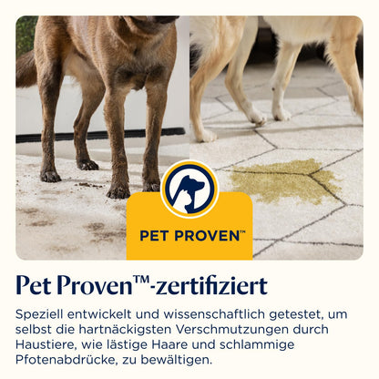 SpotClean HydroSteam Teppichreiniger und Dampfreiniger 1000W 3689N Nasssauger für Teppiche Polster Auto