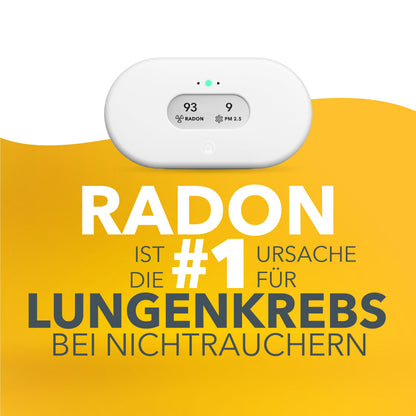 View Plus 2960 intelligenter Radonluftqualitätsmesser Feinstaub CO2 VOC Luftfeuchtigkeit Temperatur