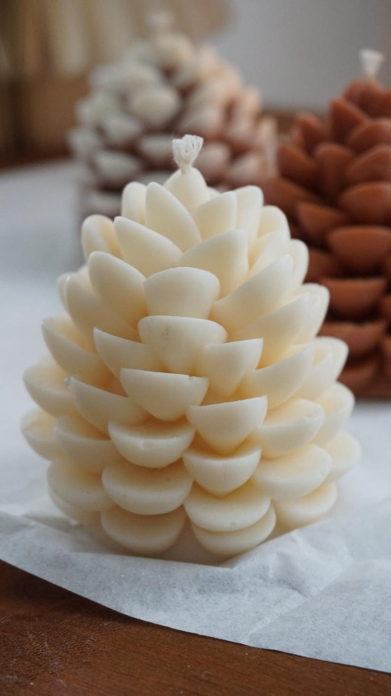 Tannenzapfen Kerze aus Rapswachs Kiefernzapfen Kerze Winter Deko Weiß Beige Schneeeffekt