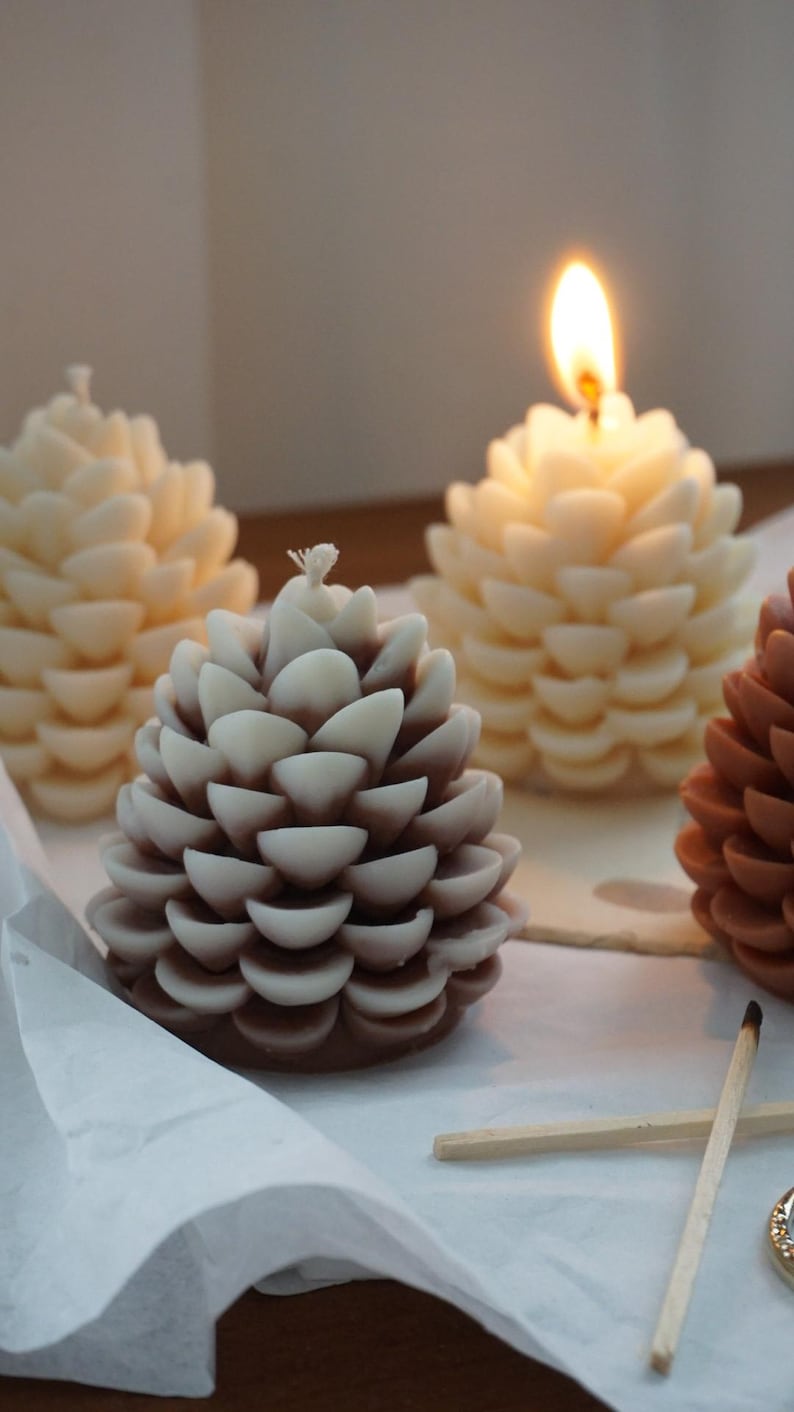 Tannenzapfen Kerze aus Rapswachs Kiefernzapfen Kerze Winter Deko Weiß Beige Schneeeffekt