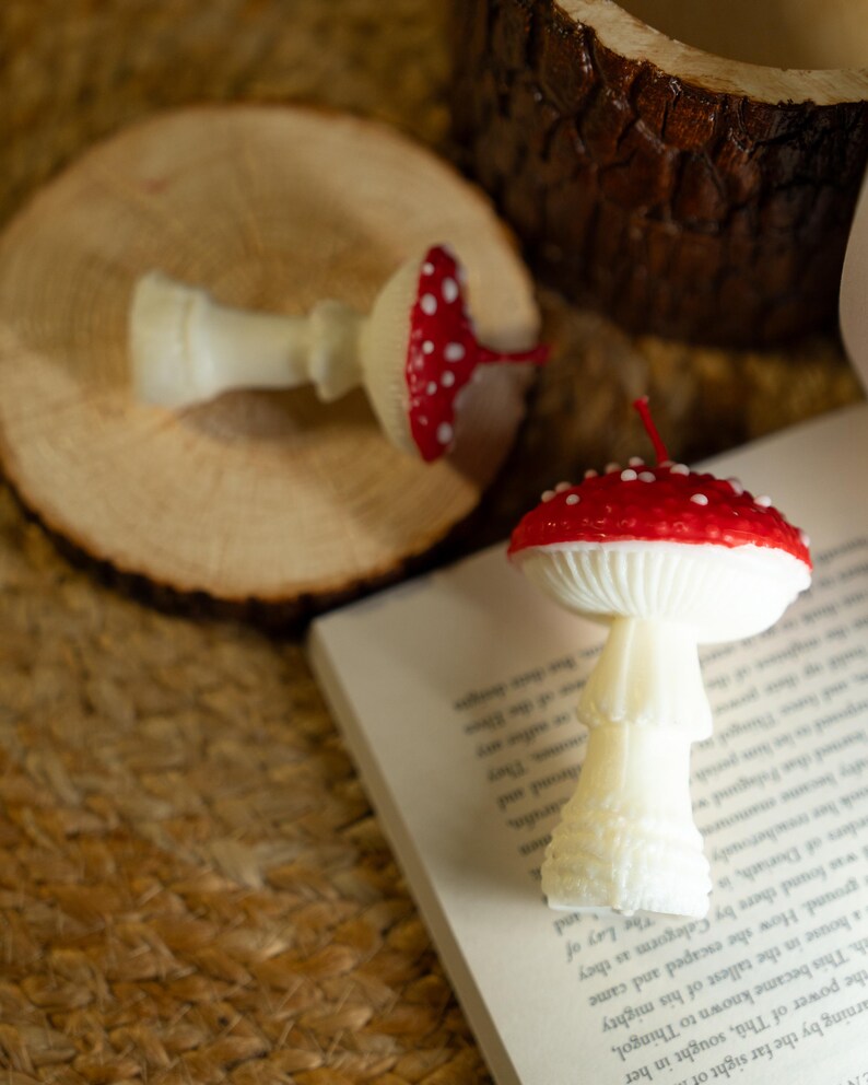 Roter Pilz & Oyster Cluster Kerzen Set, Handgegossen, Dekorative Skulpturkerzen