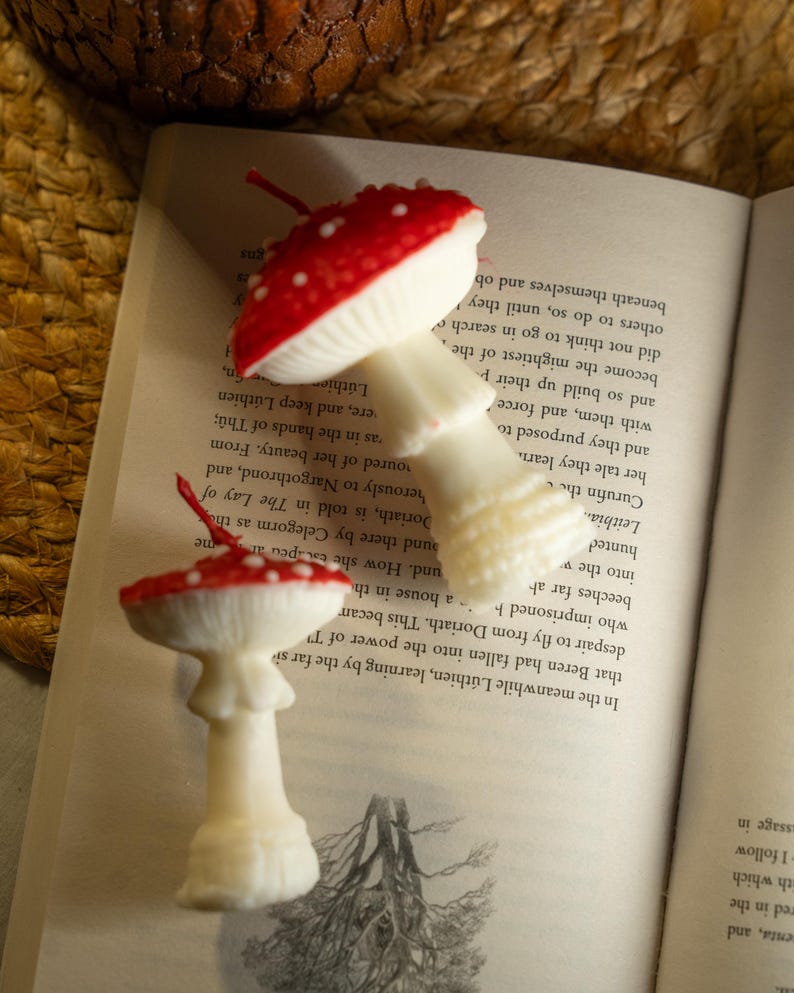 Roter Pilz & Oyster Cluster Kerzen Set, Handgegossen, Dekorative Skulpturkerzen