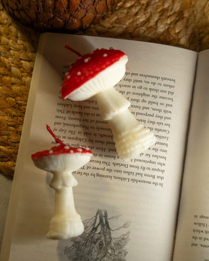 Roter Pilz & Oyster Cluster Kerzen Set, Handgegossen, Dekorative Skulpturkerzen